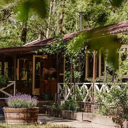 Forest Cottage With Lovely Garden & Sauna Doornspijk Exteriör bild