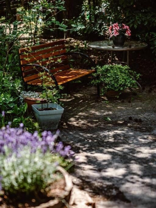 Forest Cottage With Lovely Garden & Sauna Doornspijk Exteriör bild