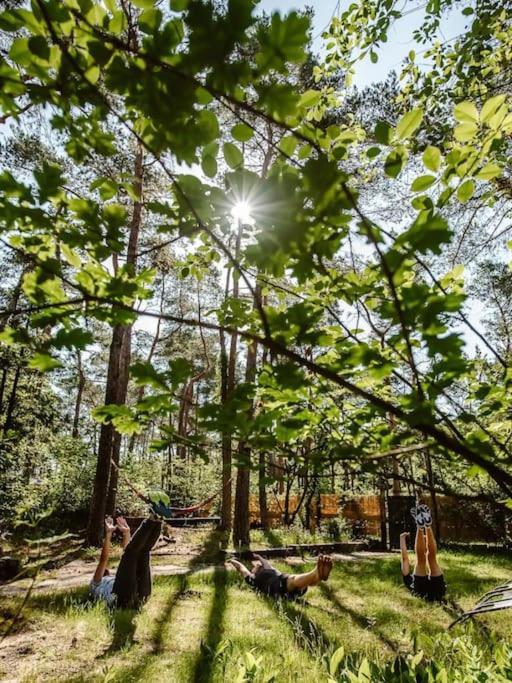 Forest Cottage With Lovely Garden & Sauna Doornspijk Exteriör bild
