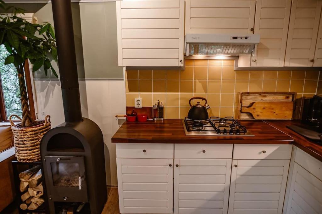 Forest Cottage With Lovely Garden & Sauna Doornspijk Exteriör bild