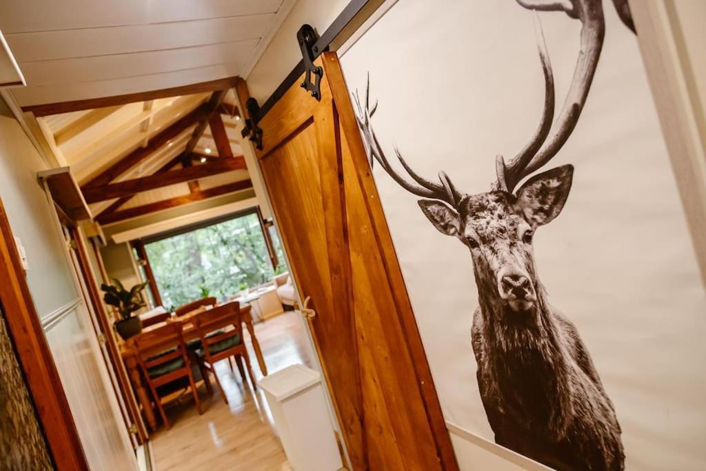 Forest Cottage With Lovely Garden & Sauna Doornspijk Exteriör bild