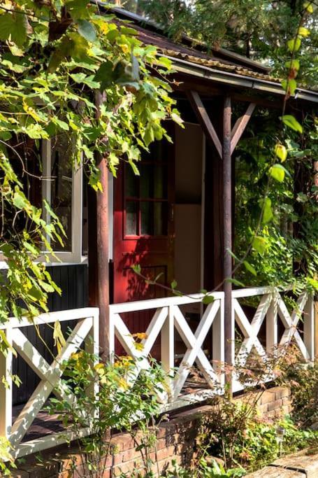 Forest Cottage With Lovely Garden & Sauna Doornspijk Exteriör bild